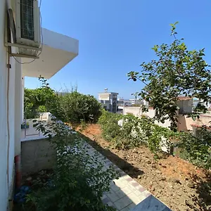 https://guest-house-dea.albaniahotels.org